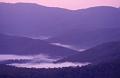 Early morning, Looking towards Binna Burra, Lower Beechmont II